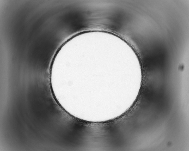 X0000103931380200810101343