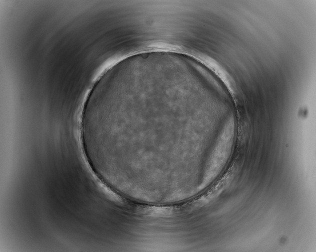 X0000103931381200810101343