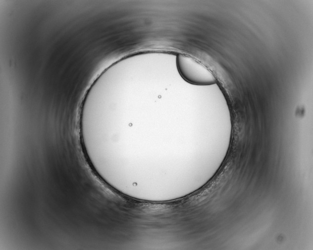 X0000103931382200810101343