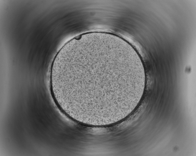 X0000103931383200810101343