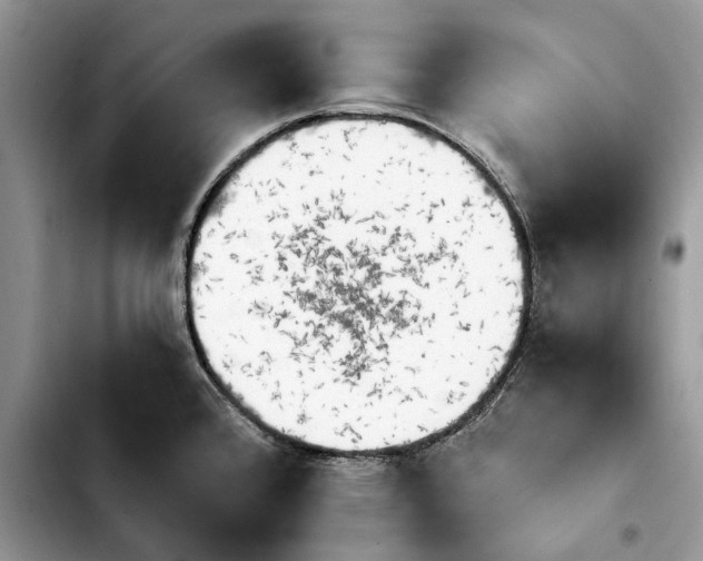 X0000103931384200810101343