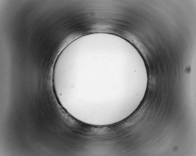 X0000103931386200810101343