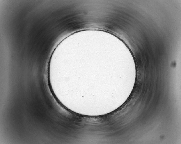 X0000103931387200810101343