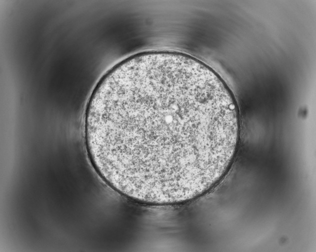 X0000103931388200810101343