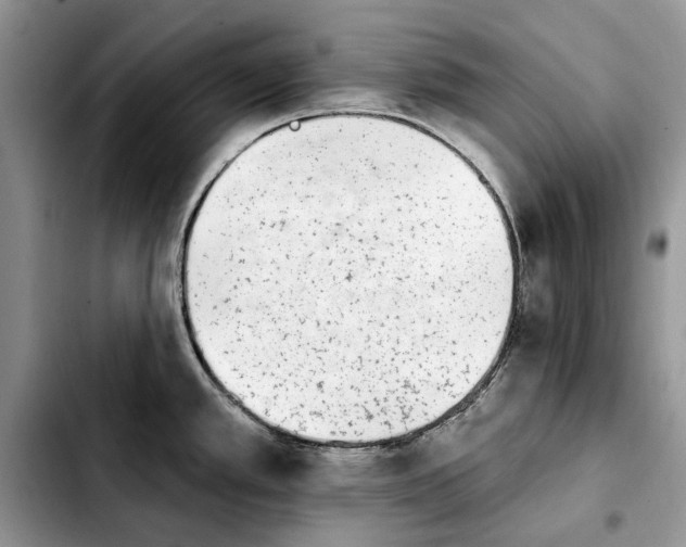 X0000103931389200810101343