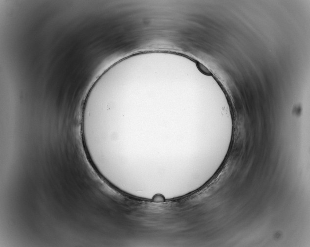 X0000103931390200810101343