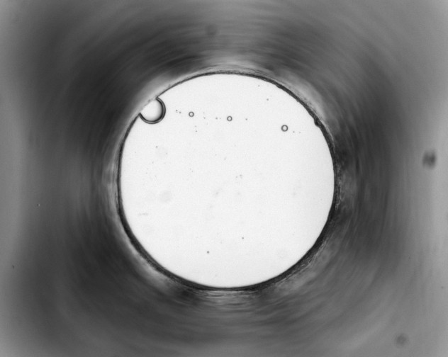 X0000103931391200810101343