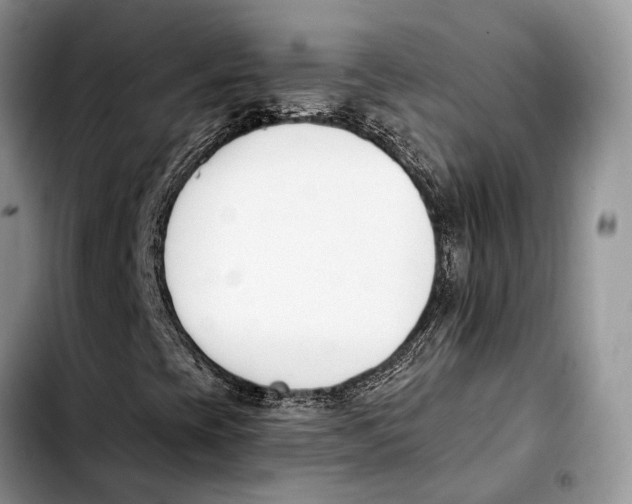 X0000103931393200810101342