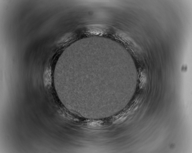 X0000103931394200810101342