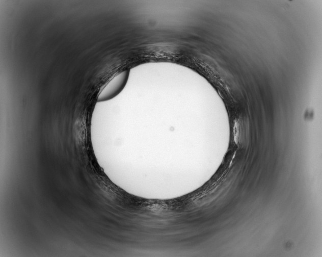 X0000103931395200810101342