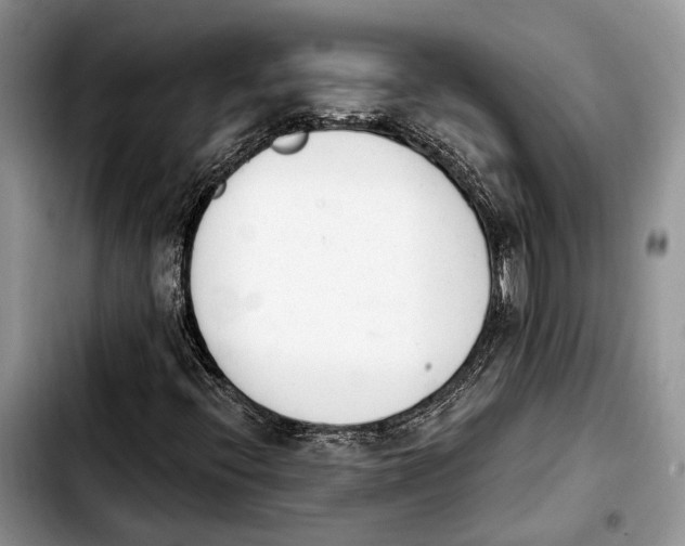 X0000103931396200810101342