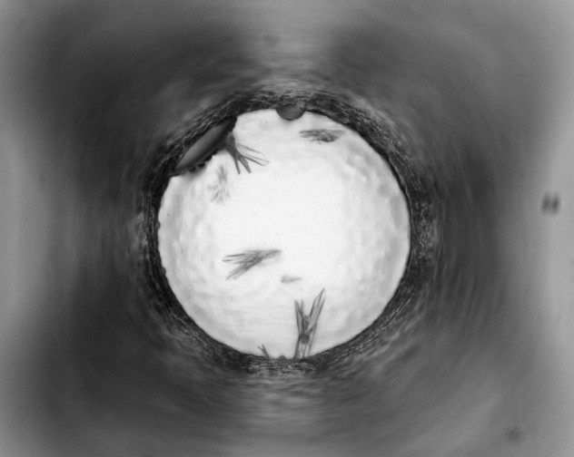 X0000103931397200810101342