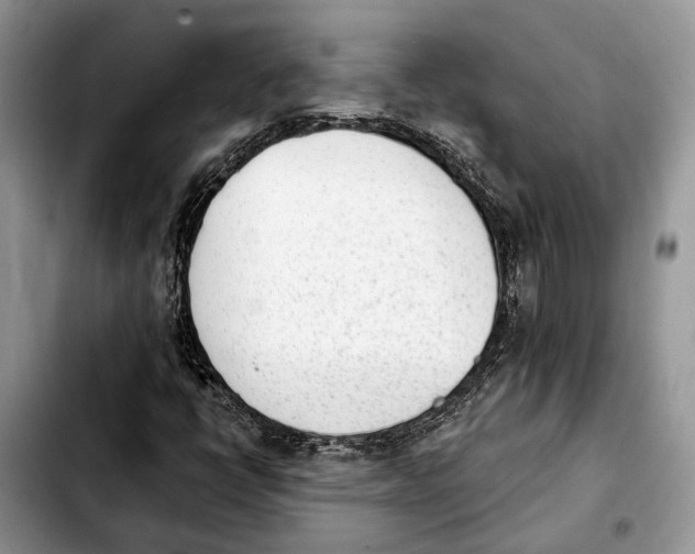 X0000103931398200810101342