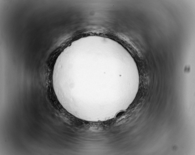 X0000103931399200810101342