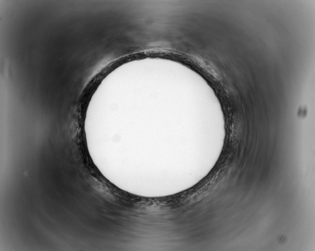 X0000103931400200810101342