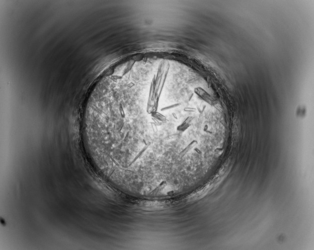 X0000103931401200810101342