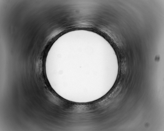 X0000103931402200810101342