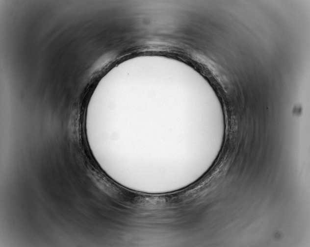 X0000103931403200810101342