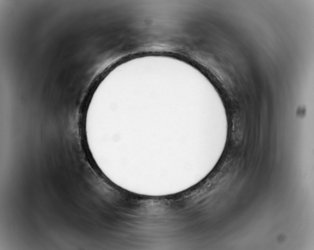 X0000103931404200810101342