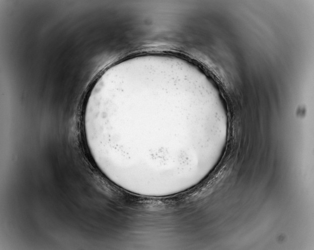 X0000103931405200810101342