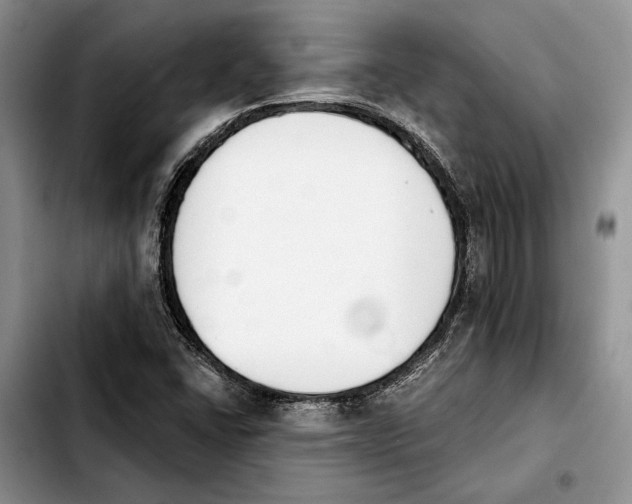 X0000103931406200810101342