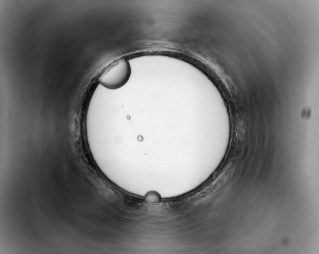 X0000103931407200810101342