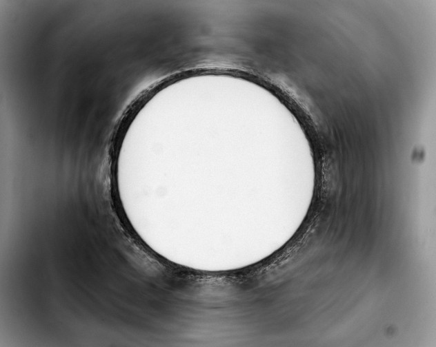 X0000103931408200810101342