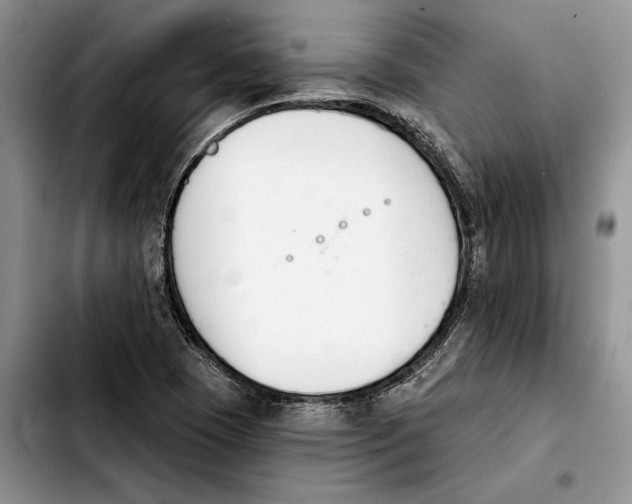 X0000103931409200810101342