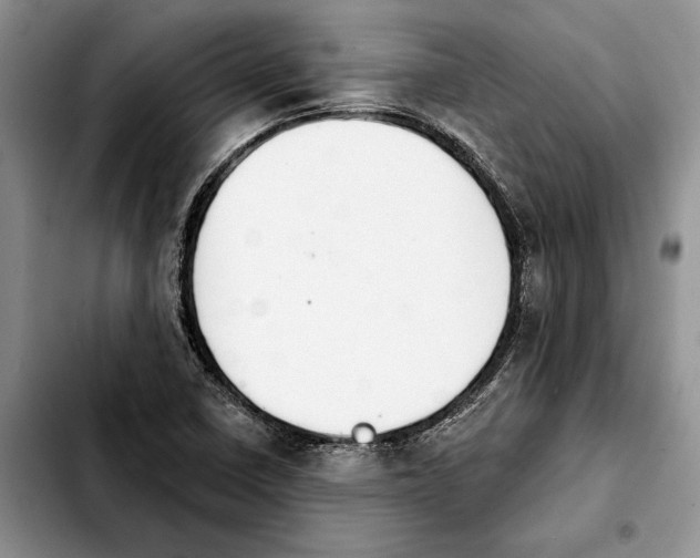 X0000103931410200810101343