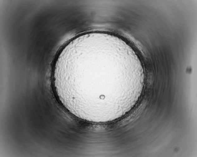 X0000103931411200810101343