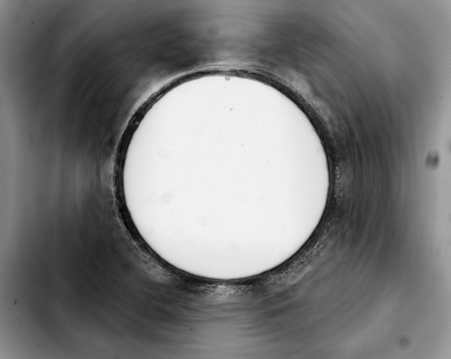 X0000103931412200810101343