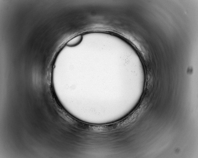 X0000103931413200810101343