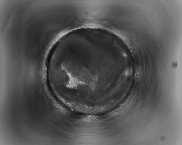 X0000103931414200810101343