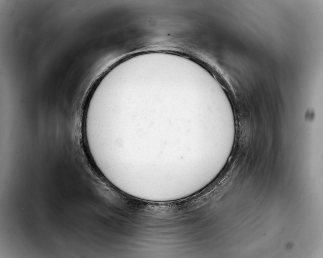 X0000103931415200810101343