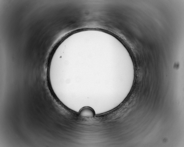 X0000103931416200810101343