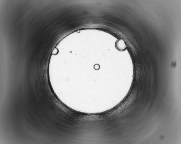 X0000103931417200810101343