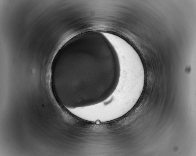 X0000103931418200810101343