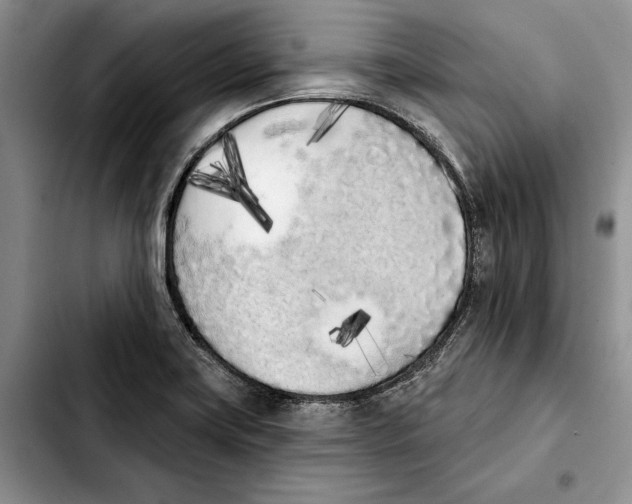 X0000103931419200810101343