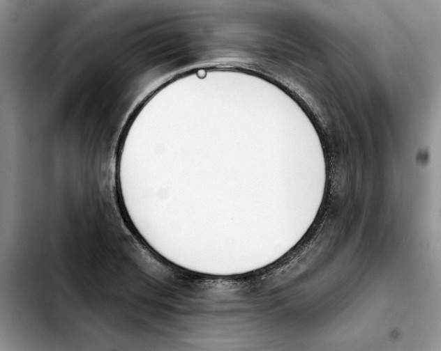 X0000103931420200810101343