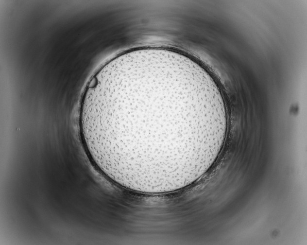 X0000103931421200810101343