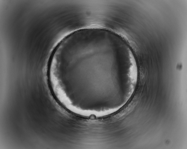 X0000103931422200810101343