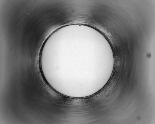 X0000103931423200810101343