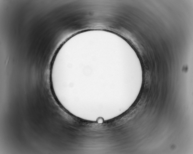 X0000103931424200810101343