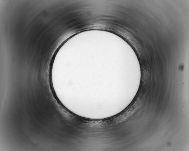 X0000103931426200810101343