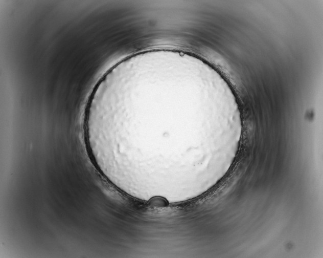 X0000103931427200810101343