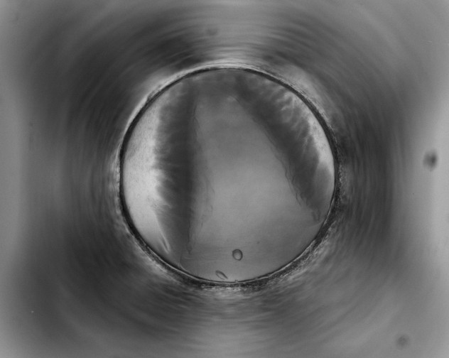 X0000103931428200810101343