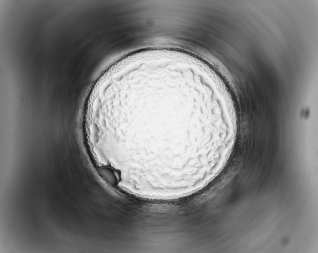 X0000103931429200810101343