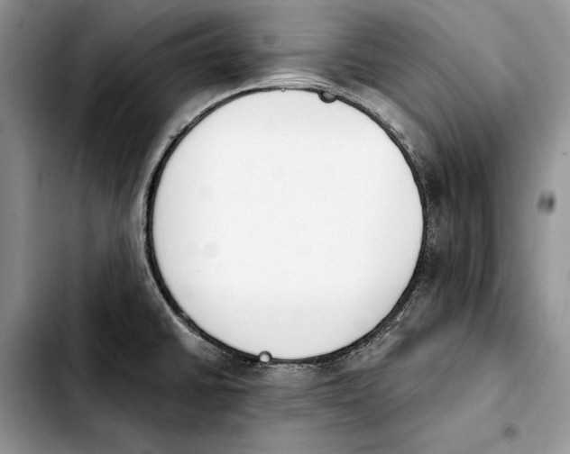 X0000103931430200810101343