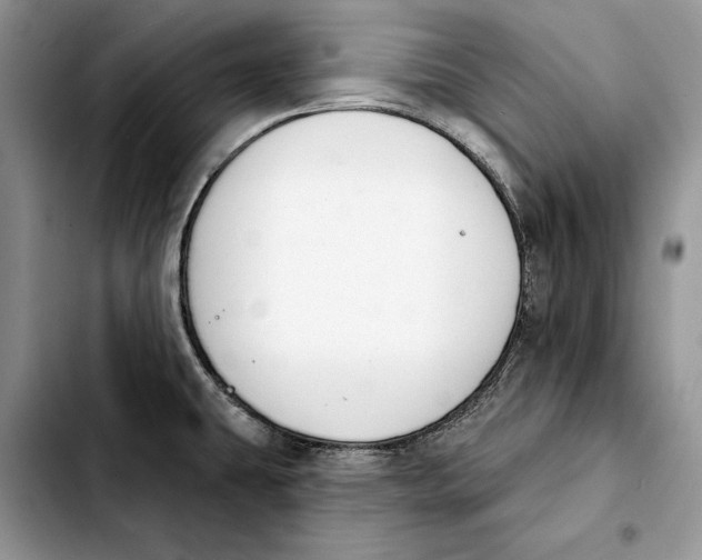 X0000103931431200810101343