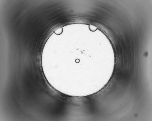 X0000103931433200810101343